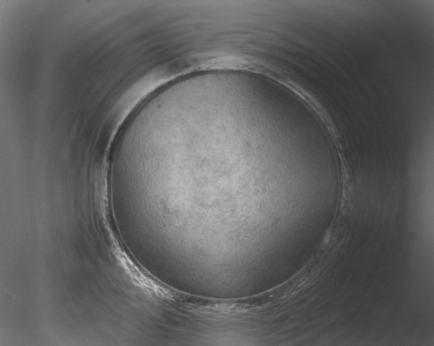 X0000085291000200703161445