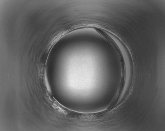 X0000085291001200703161445