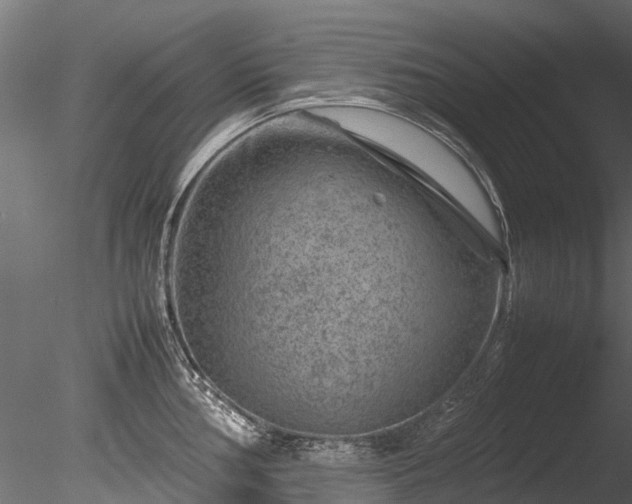 X0000085291002200703161445