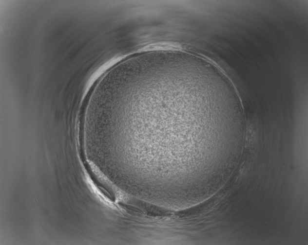 X0000085291003200703161445