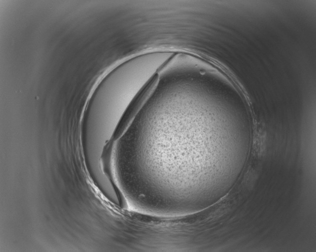 X0000085291004200703161445