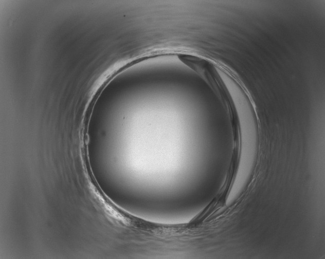 X0000085291005200703161445