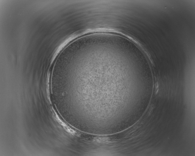 X0000085291006200703161445