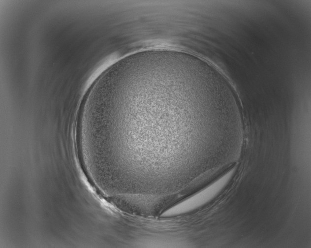 X0000085291007200703161445