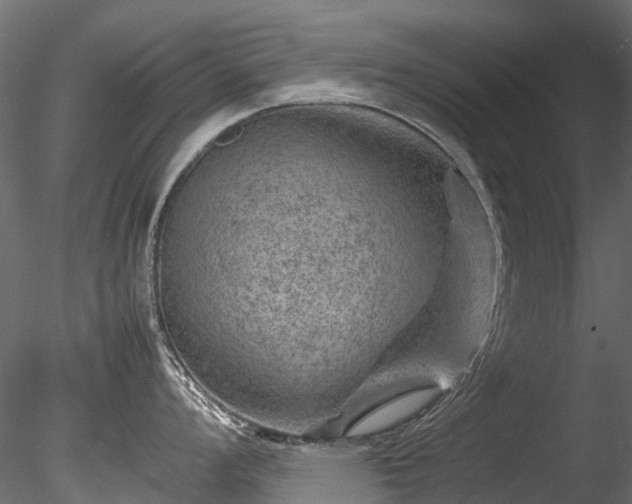 X0000085291008200703161445