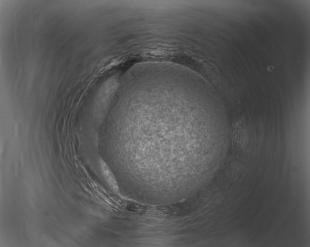 X0000085291009200703161444