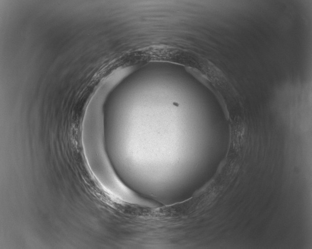 X0000085291010200703161444