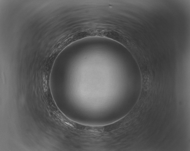 X0000085291013200703161444