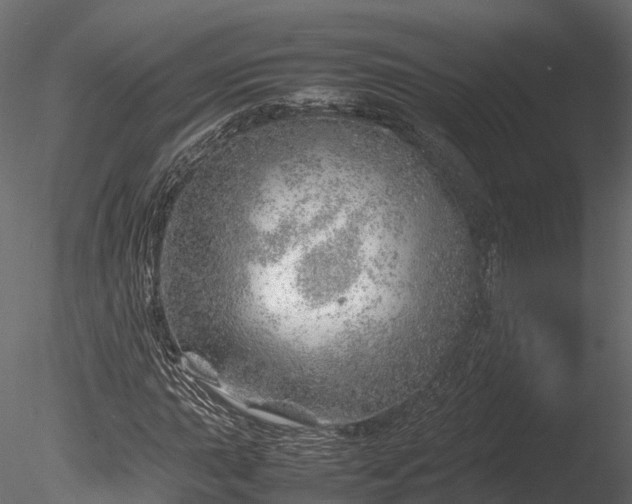 X0000085291015200703161444