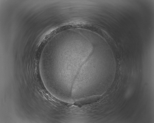 X0000085291016200703161444