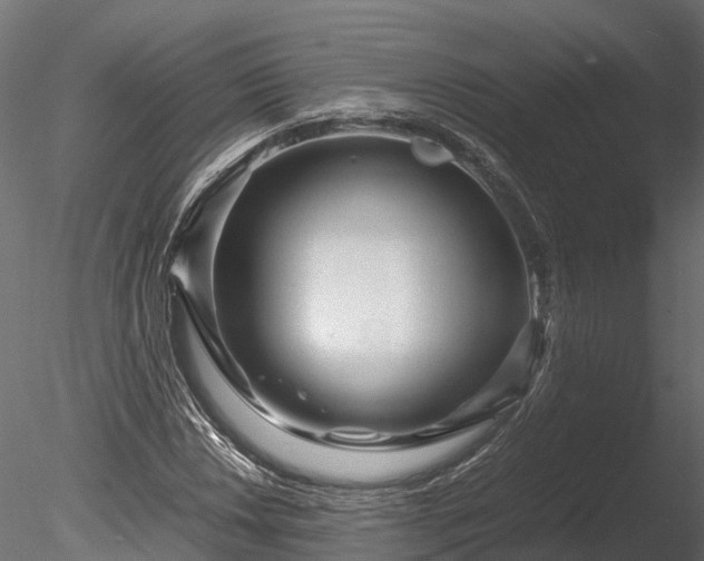 X0000085291018200703161444