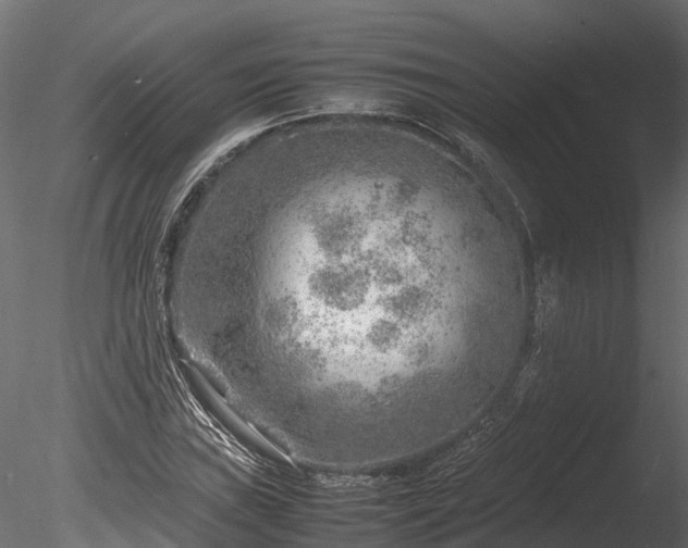 X0000085291019200703161444