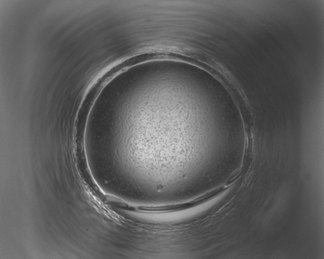 X0000085291020200703161444