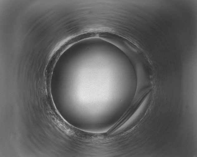 X0000085291022200703161444