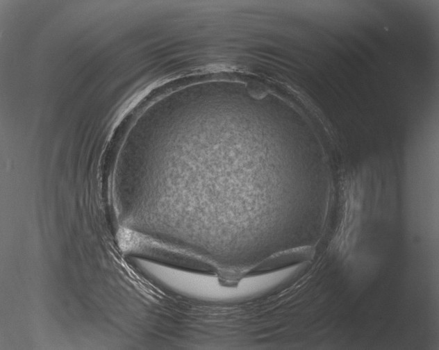 X0000085291023200703161444