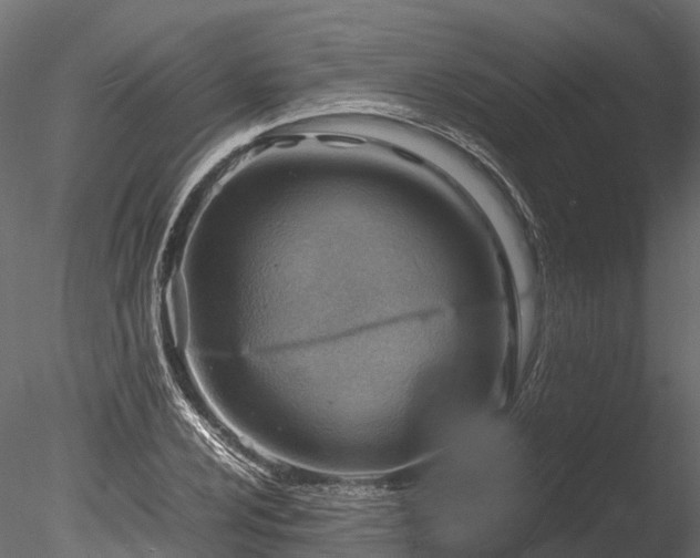 X0000085291024200703161444