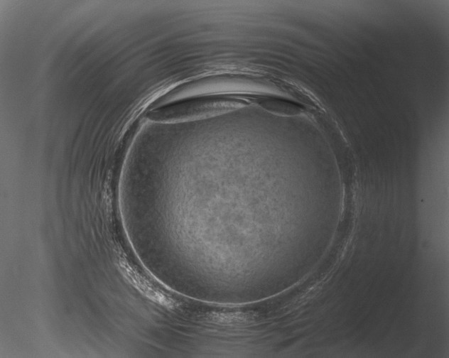 X0000085291025200703161444