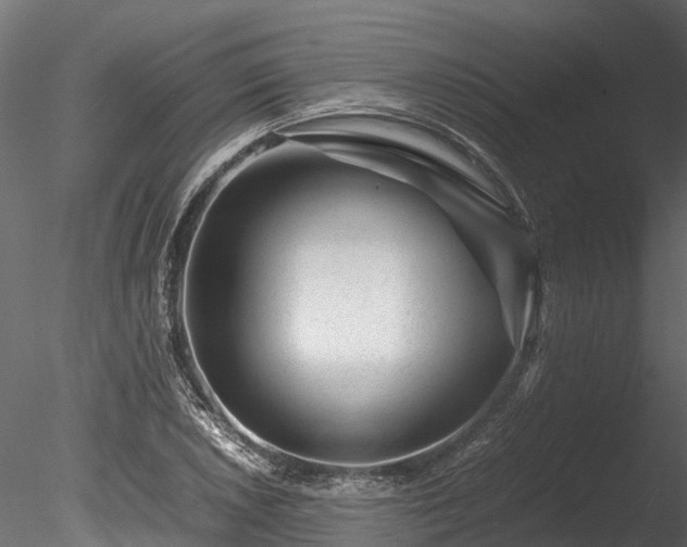 X0000085291026200703161444