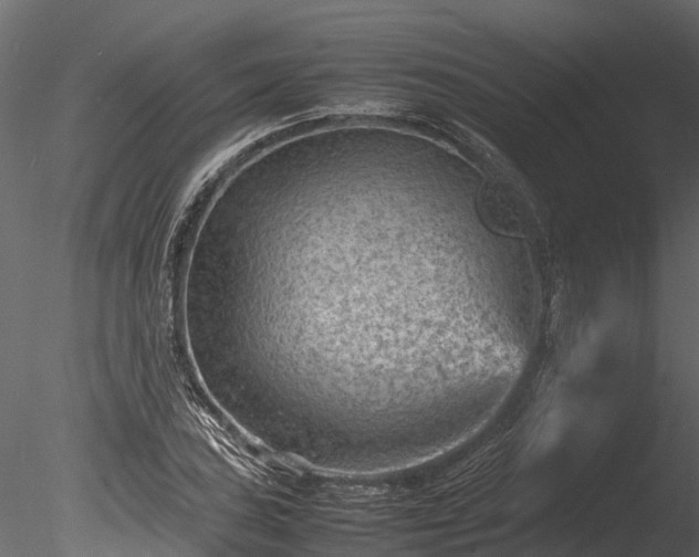 X0000085291027200703161444