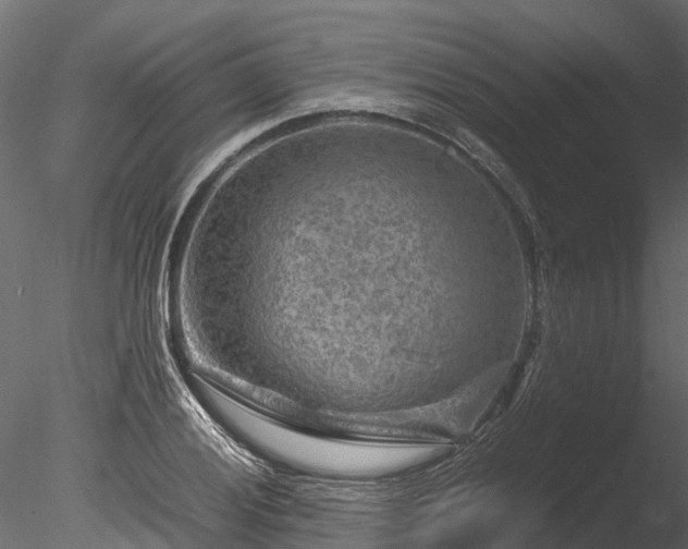 X0000085291028200703161444