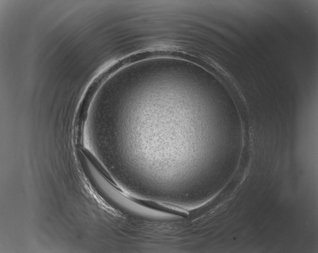 X0000085291029200703161444