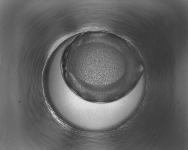 X0000085291030200703161444