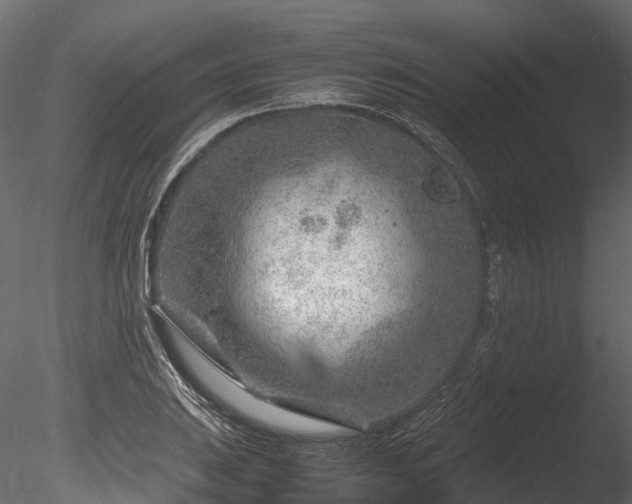 X0000085291031200703161444