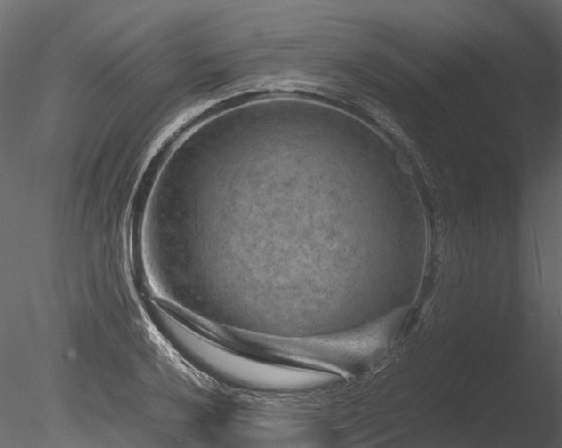 X0000085291032200703161444