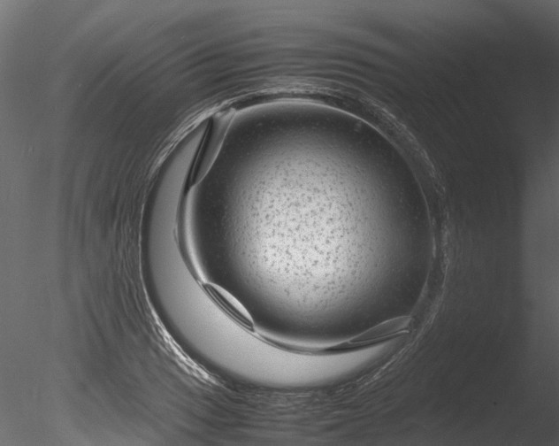 X0000085291033200703161444