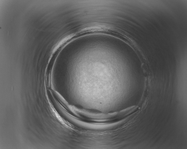 X0000085291034200703161444