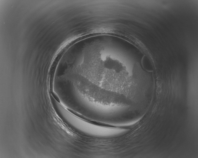 X0000085291035200703161445