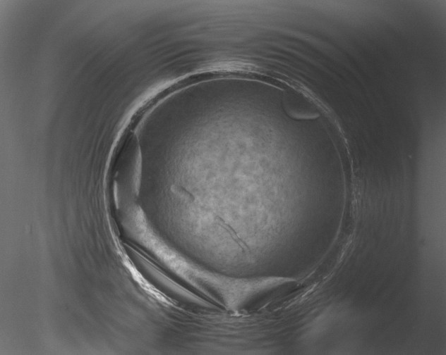 X0000085291037200703161445