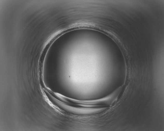 X0000085291038200703161445