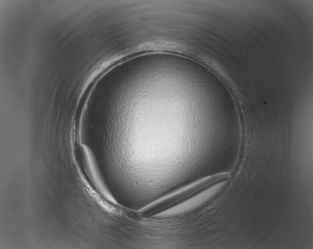 X0000085291040200703161445