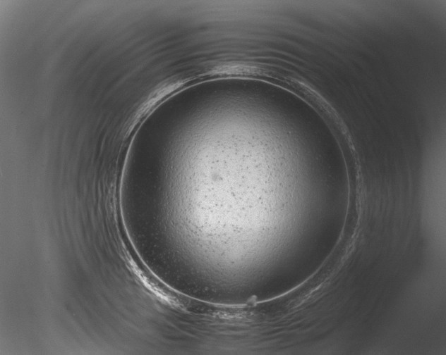 X0000085291041200703161445