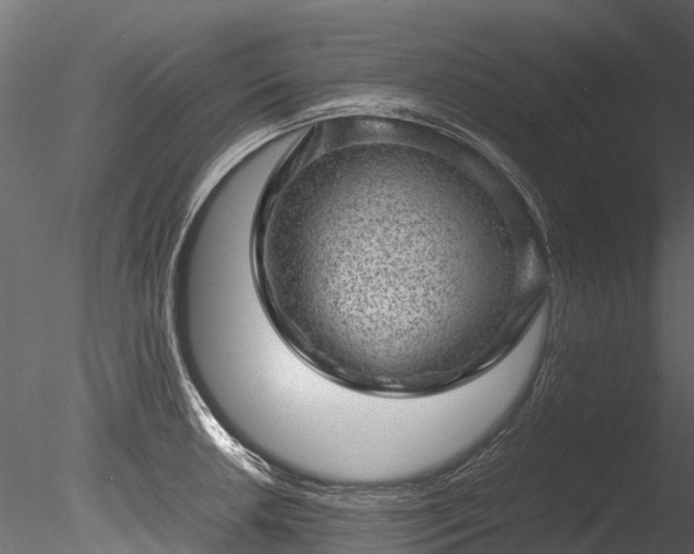 X0000085291042200703161445