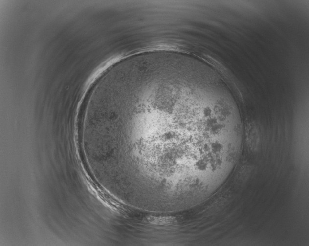 X0000085291043200703161445