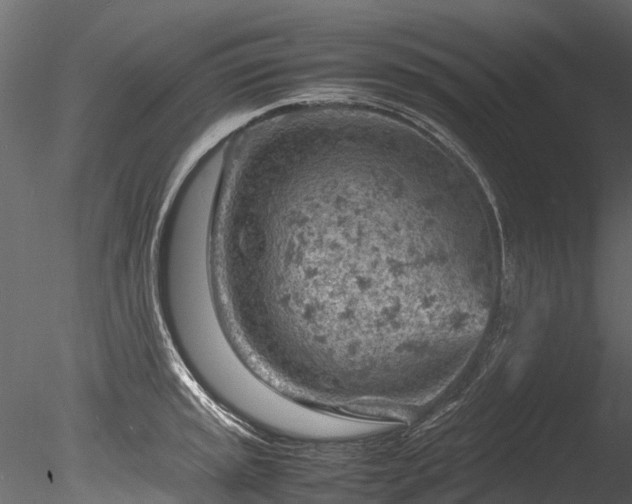 X0000085291045200703161445