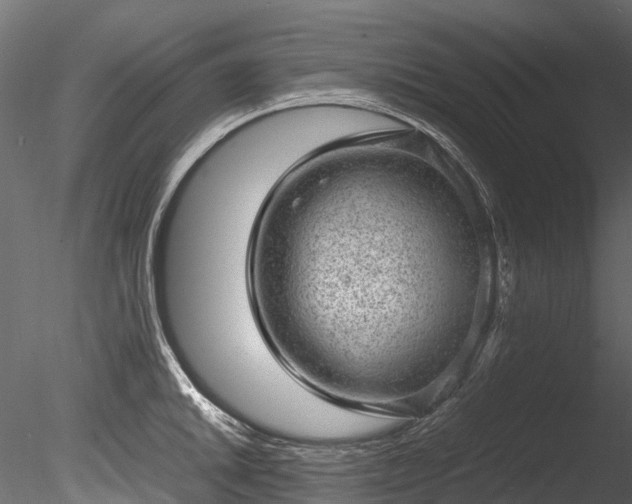 X0000085291046200703161445