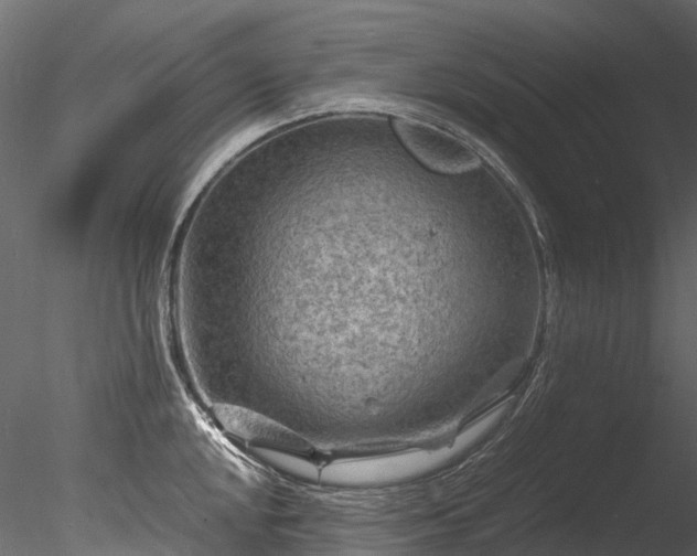 X0000085291048200703161445