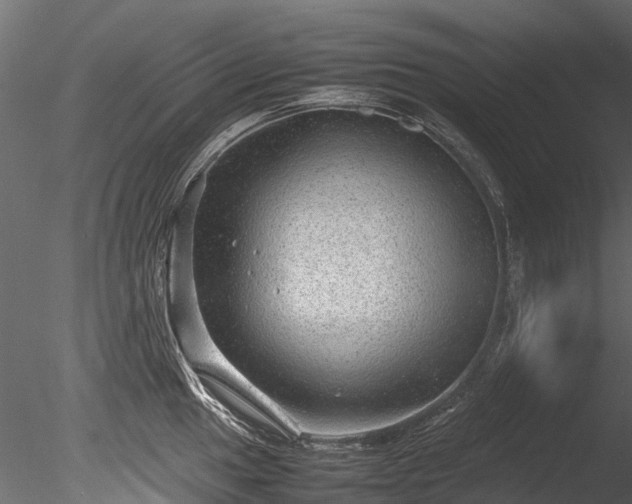 X0000085291049200703161445