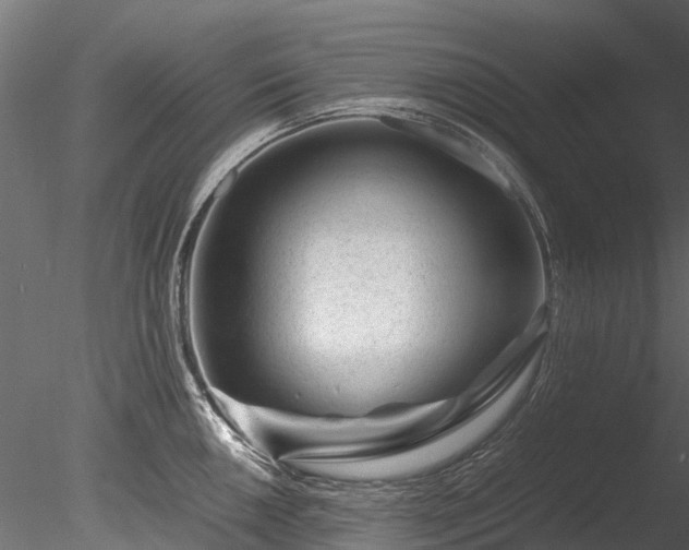 X0000085291050200703161445