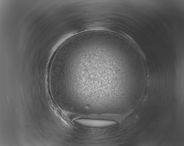 X0000085291051200703161445