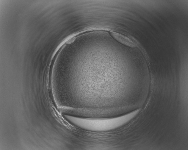 X0000085291052200703161445