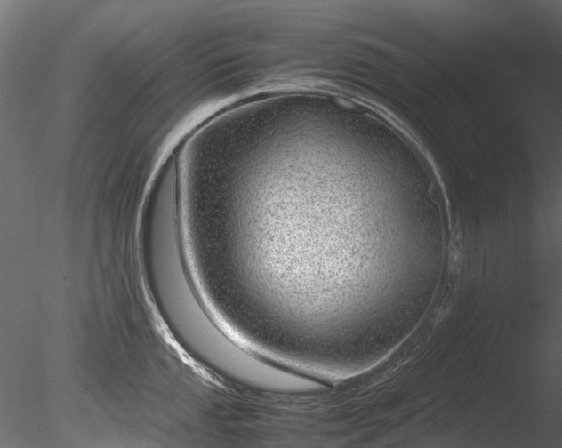 X0000085291053200703161445