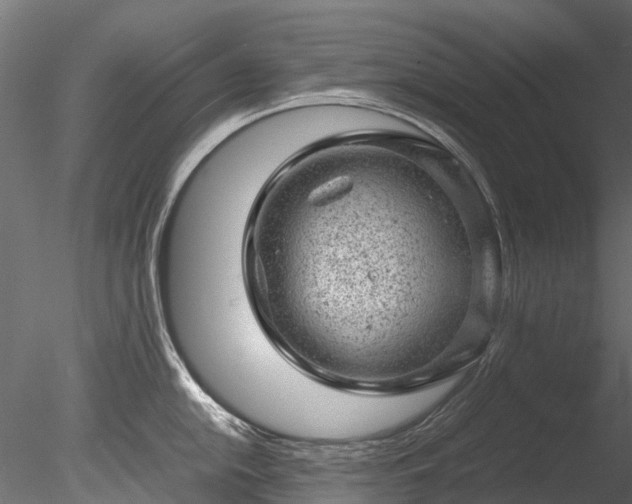 X0000085291054200703161445