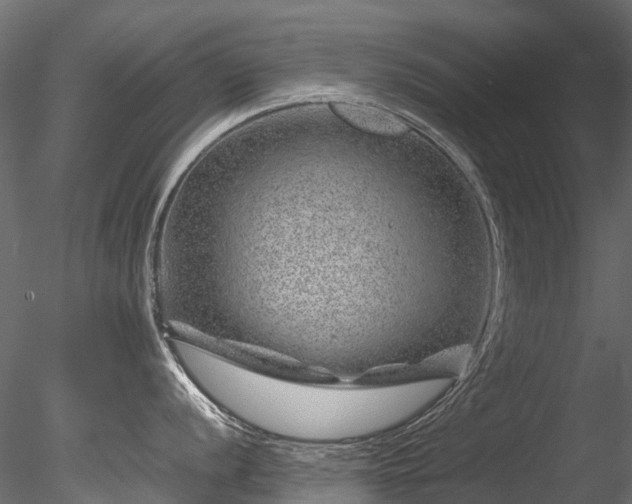 X0000085291056200703161445