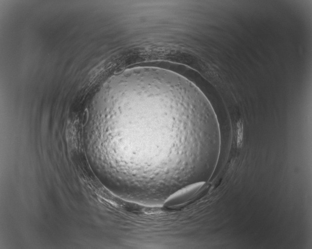 X0000085291059200703161444