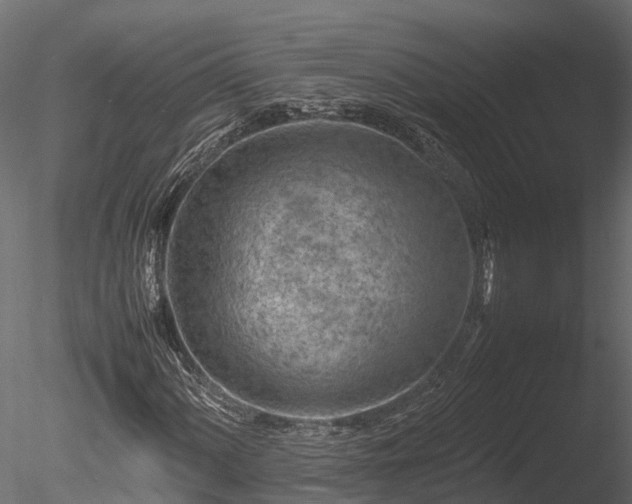 X0000085291060200703161444