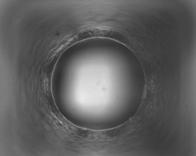 X0000085291061200703161444